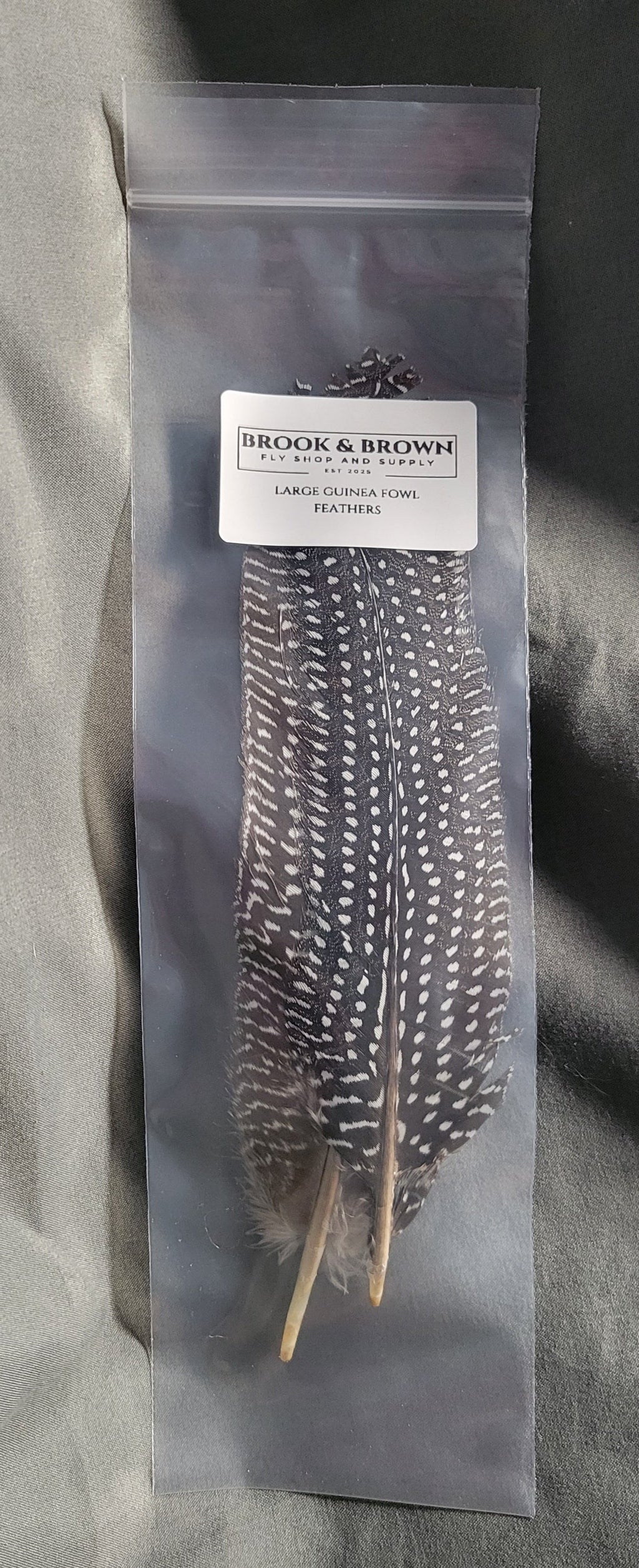 Guinea Fowl Feathers Large