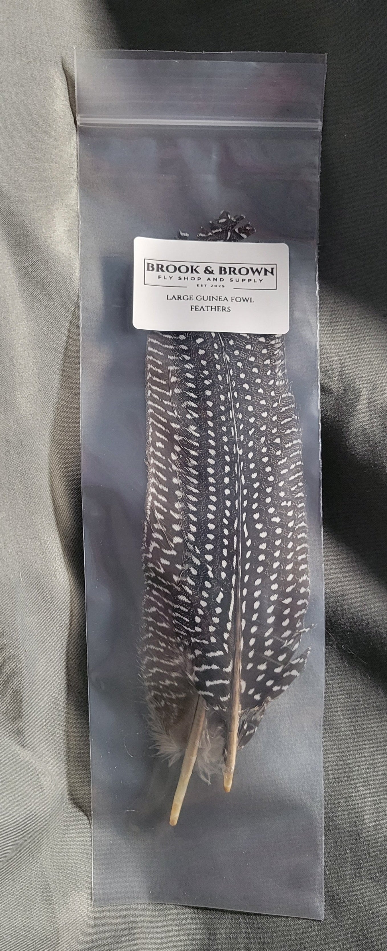 Guinea Fowl Feathers Large