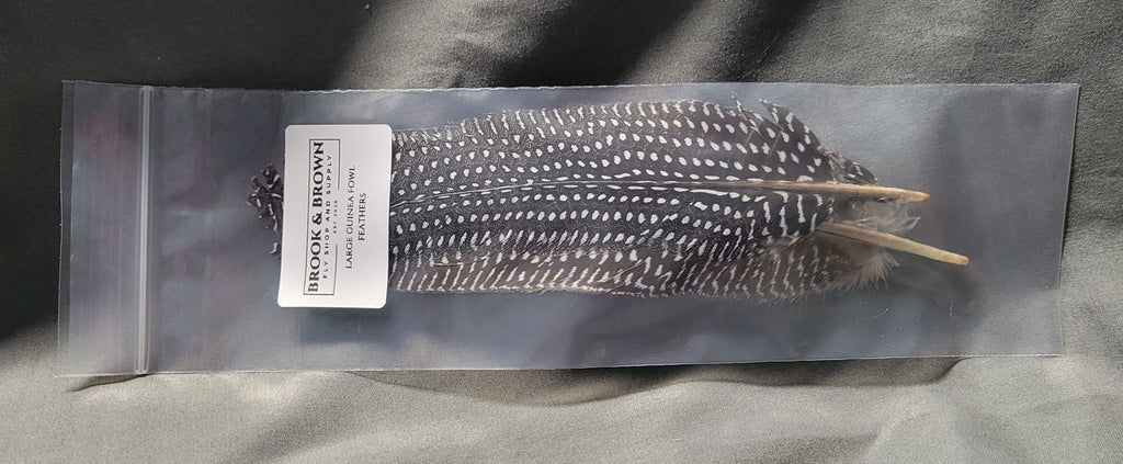 Guinea Fowl Feathers Large