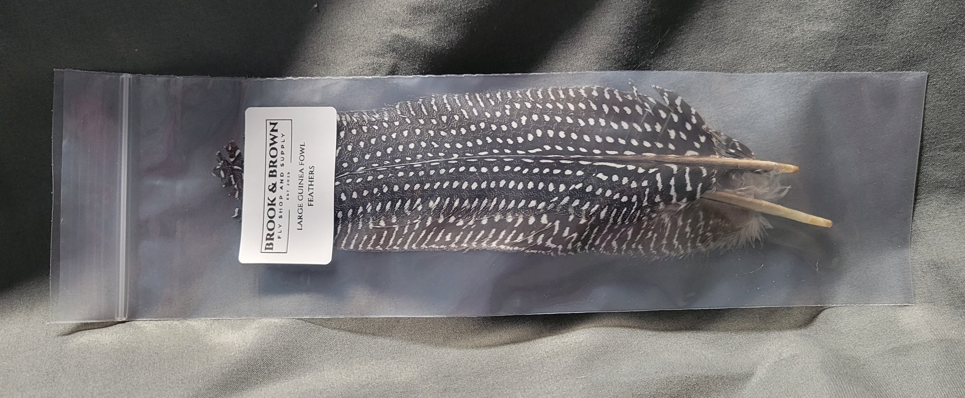 Guinea Fowl Feathers Large